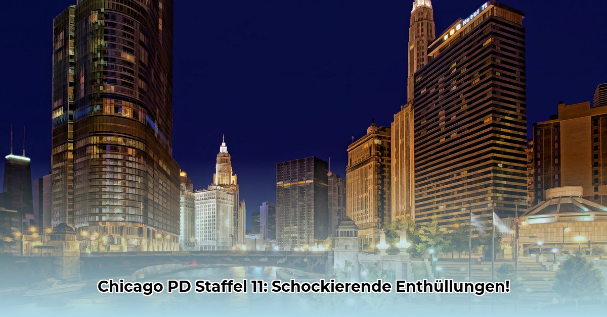 chicago-pd-staffel-11